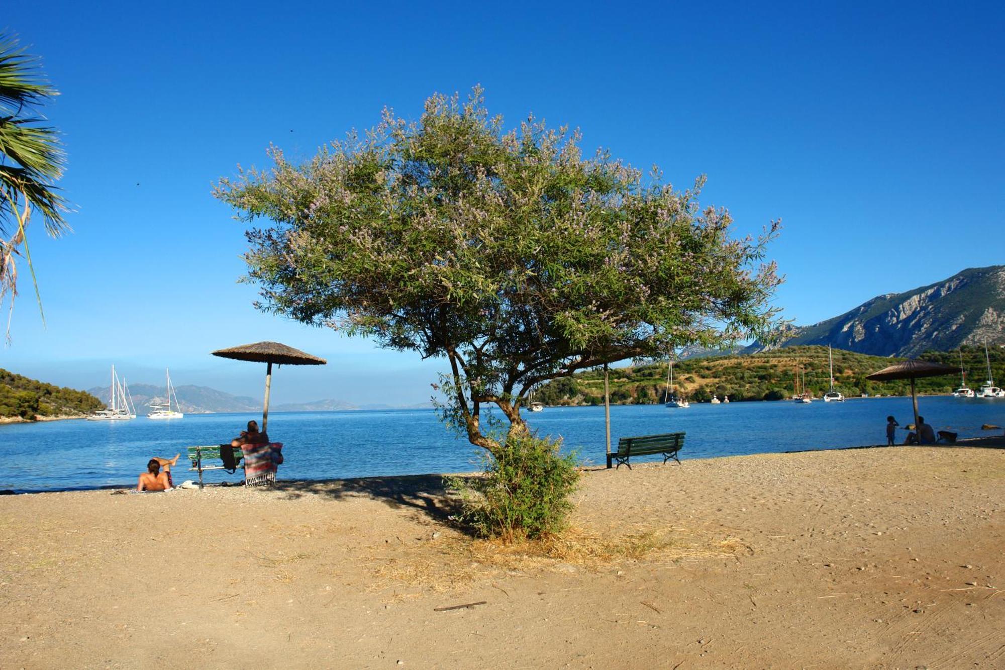 Epidaurus Verdelis Inn מראה חיצוני תמונה